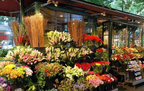 花店老板爆料视频大全,花店行业背后的惊人真相 第3张 花店老板爆料视频大全,花店行业背后的惊人真相 第3张