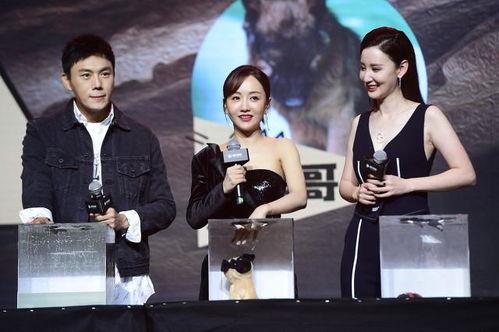 娱乐圈吃瓜汇总718,揭秘明星幕后真相与八卦风云 第1张 娱乐圈吃瓜汇总718,揭秘明星幕后真相与八卦风云 第1张